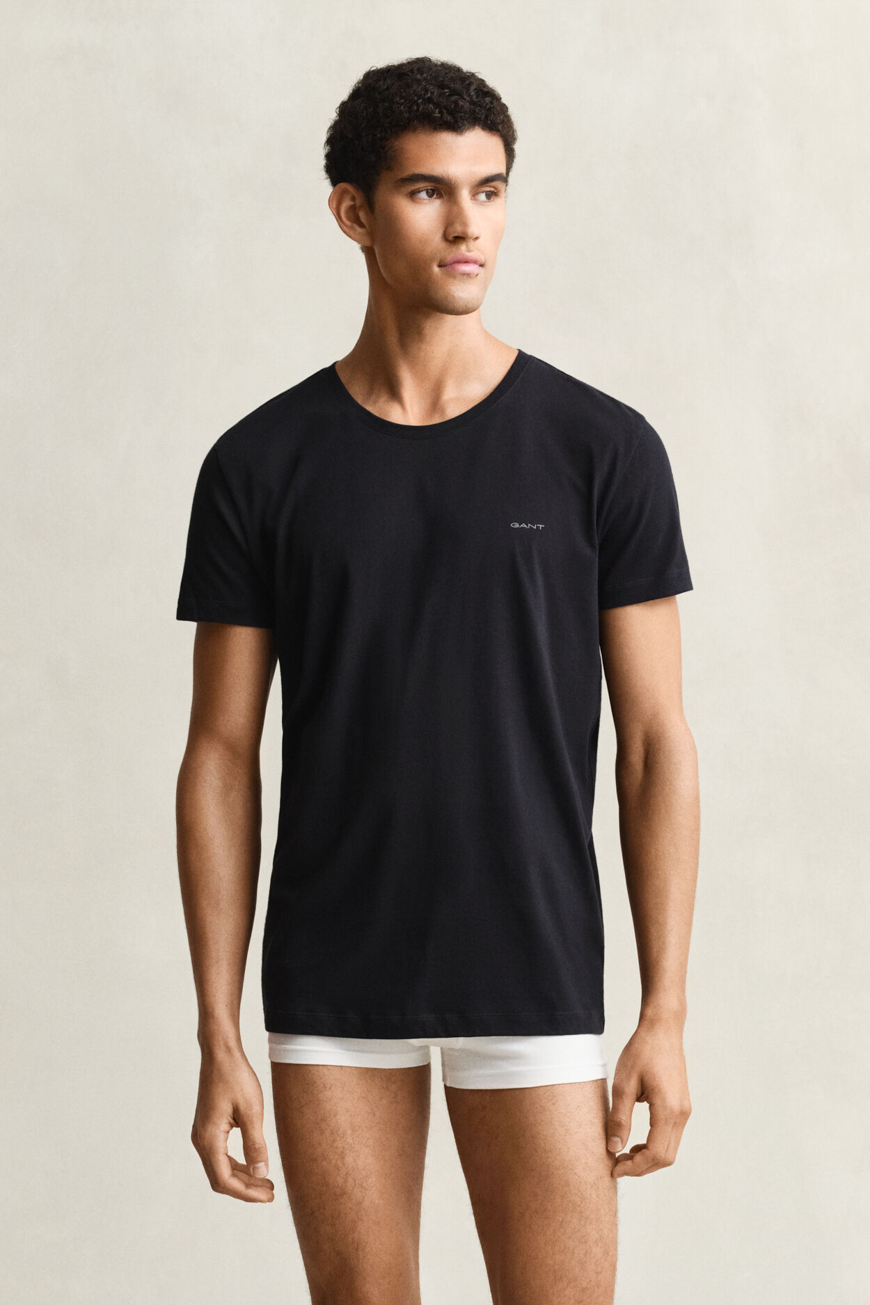 T‑paita pyöreällä pääntiellä (2 kpl)