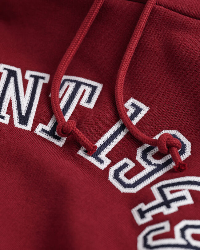 GANT 1949 Arch Graphic ‑huppari