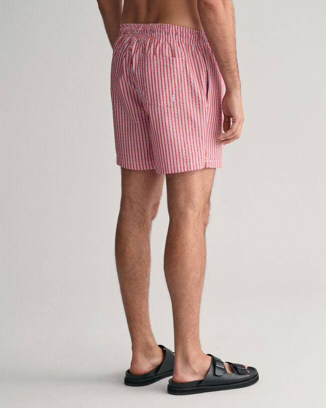 Seersucker Swim Shorts