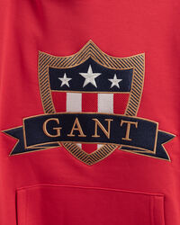 Teens-malliston Banner Shield ‑huppari