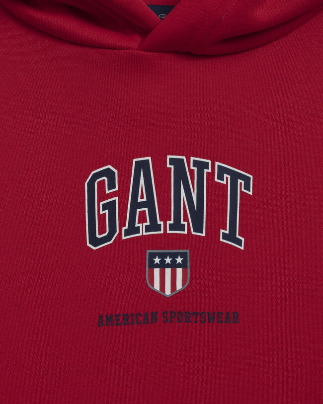 Teens-malliston Retro Shield ‑huppari