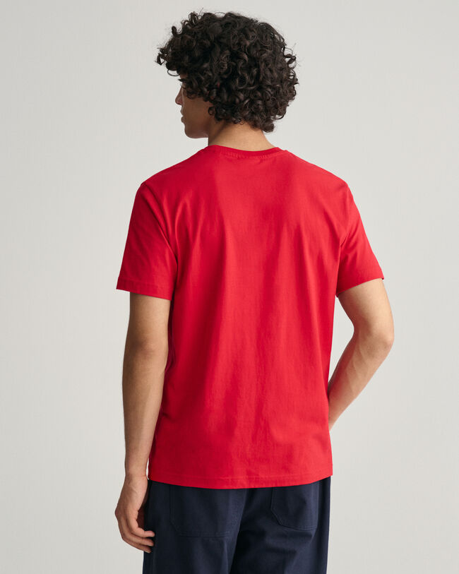 Printtikuvioitu GANT Script Graphic ‑t‑paita