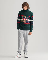 Banner Shield ‑pooloneule