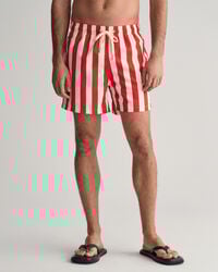 Block Striped Swim Shorts