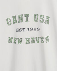 Teen Boys ‑malliston USA Graphic ‑t‑paita