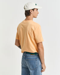 Small Graphic ‑t‑paita