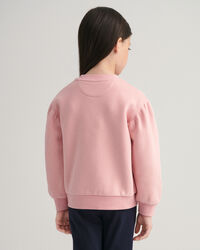 Girls-malliston G&nbsp;Squirrel ‑pusero, py&ouml;re&auml; p&auml;&auml;ntie